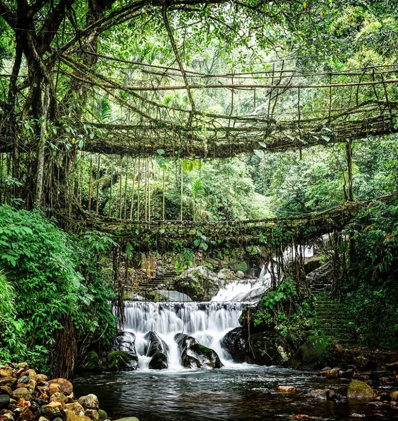 Explore Meghalaya – A Scenic Northeast Escape