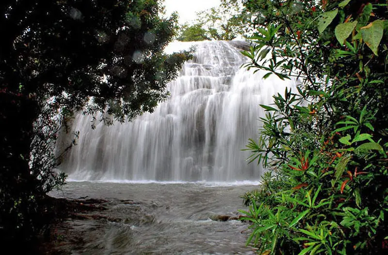 Kerala Escape — Where Nature Meets Serenity