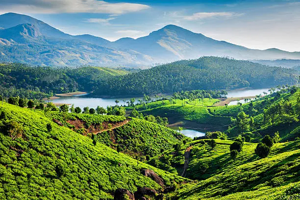 Kerala Escape — Where Nature Meets Serenity