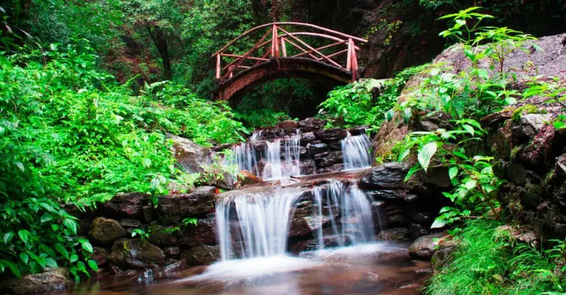Jibhi | Tirthan Valley 2 Nights | 3 Days