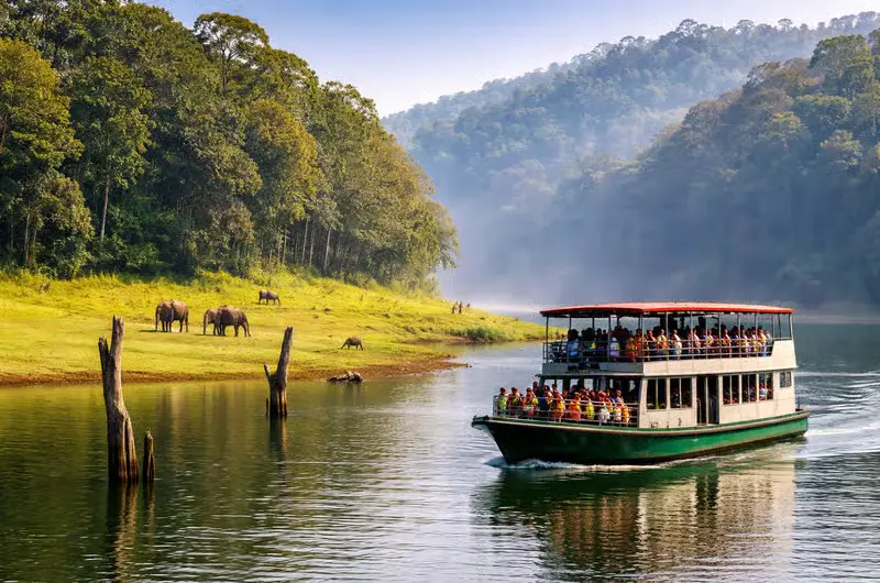 Kerala Escape — Where Nature Meets Serenity
