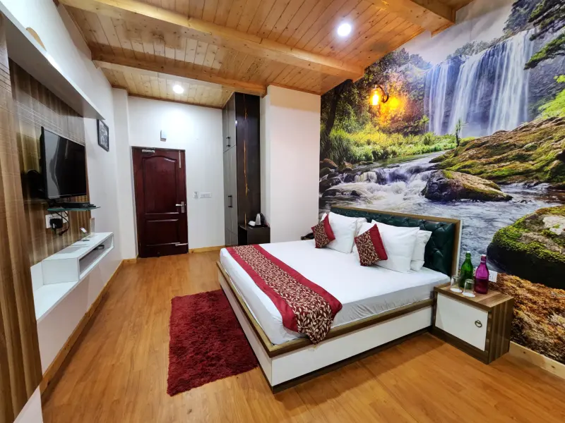Standard Room without view