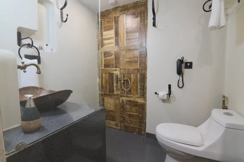 Premium Room with Balcony Image