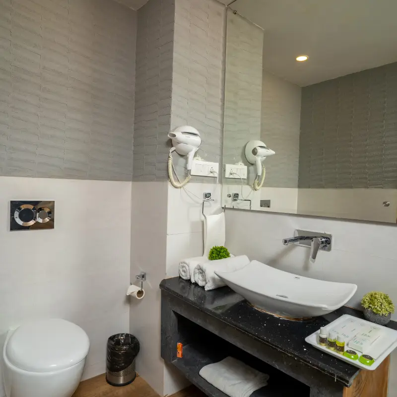 Executive Room Image